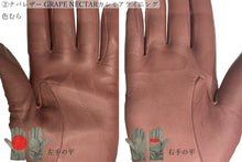 画像をギャラリービューアに読み込む, 【 20~30% OFF / Cグレード 】メローラ レディース手袋◆サイズ6(XS)