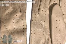 画像をギャラリービューアに読み込む, 【 20~30%OFF/ Cグレード 】メローラ メンズ手袋◆サイズ 7 (XS)