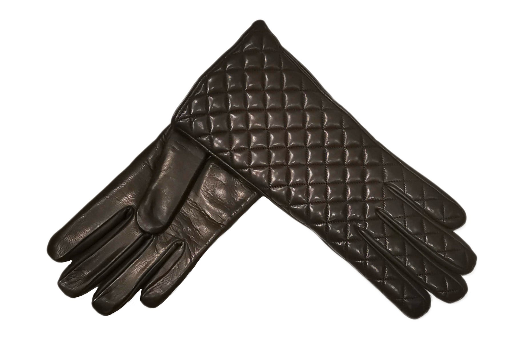 手袋-LADIES-ナパレザー – Merola