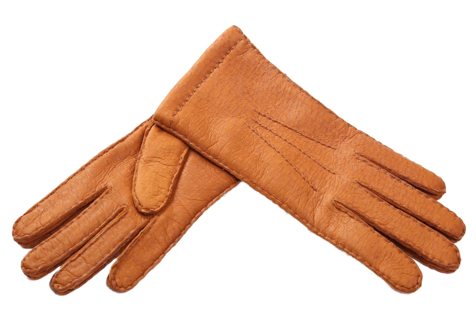 ペッカリー – Merola